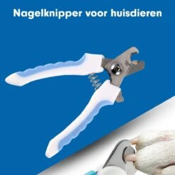 Professionele Nagelschaar|Nagelschaar Hond | Nagelschaar Kat| Nagelknipper Hond En Kat| Nagelknipper Kat| Nagelknipper Hond|NagelTang Dieren|Poot Verzorging 22 Professionele Nagelschaar|Nagelschaar Hond | Nagelschaar Kat| Nagelknipper Hond En Kat| Nagelknipper Kat| Nagelknipper Hond|NagelTang Dieren|Poot Verzorging -DierenPlezier 1200x1200 547