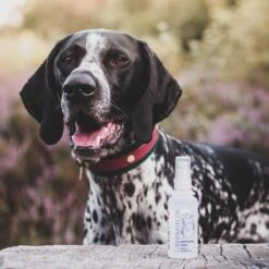 Hondenparfum Spray In 4 Geuren - Greenfields - Alchoholvrije En PH Neutrale Formule Tegen Onaangename Geurtjes - 50ml - Exotic 34 Hondenparfum Spray In 4 Geuren - Greenfields - Alchoholvrije En PH Neutrale Formule Tegen Onaangename Geurtjes - 50ml - Exotic -DierenPlezier 1200x1200 561