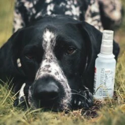 Hondenparfum Spray In 4 Geuren - Greenfields - Alchoholvrije En PH Neutrale Formule Tegen Onaangename Geurtjes - 50ml - Wild 30 Hondenparfum Spray In 4 Geuren - Greenfields - Alchoholvrije En PH Neutrale Formule Tegen Onaangename Geurtjes - 50ml - Wild -DierenPlezier 1200x1200 569