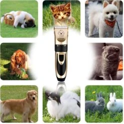Thuys Hondentondeuse Set Voor Dikke Vacht - Tondeuse Set Voor Honden Draadloos - Set Voor Langharige Honden Met 4 Opzetstukken 11 Thuys Hondentondeuse Set Voor Dikke Vacht - Tondeuse Set Voor Honden Draadloos - Set Voor Langharige Honden Met 4 Opzetstukken -DierenPlezier 1200x1200 574