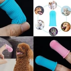 Doodadeals® 4 Stuks Siliconen Honden Tandenborstel - Tanden Borstel Hond - Silicone Dog Tootbrush - Multikleur 9 Doodadeals® 4 Stuks Siliconen Honden Tandenborstel - Tanden Borstel Hond - Silicone Dog Tootbrush - Multikleur -DierenPlezier 1200x1200 588