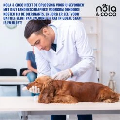 Nola & Coco® Tandsteen Verwijderaar Set Inclusief Bewaardoosje - Tandenkrabber - Set Van Twee - Hond - Kat - Tandenborstel - Tandplak Verwijderen - Tandenstoker - Honden Tanden Schoonmaken - Tandenhaakje - Gebitsreiniging 11 Nola & Coco® Tandsteen Verwijderaar Set Inclusief Bewaardoosje - Tandenkrabber - Set Van Twee - Hond - Kat - Tandenborstel - Tandplak Verwijderen - Tandenstoker - Honden Tanden Schoonmaken - Tandenhaakje - Gebitsreiniging -DierenPlezier 1200x1200 594