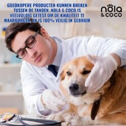 Nola & Coco® Tandsteen Verwijderaar Set Inclusief Bewaardoosje - Tandenkrabber - Set Van Twee - Hond - Kat - Tandenborstel - Tandplak Verwijderen - Tandenstoker - Honden Tanden Schoonmaken - Tandenhaakje - Gebitsreiniging 12 Nola & Coco® Tandsteen Verwijderaar Set Inclusief Bewaardoosje - Tandenkrabber - Set Van Twee - Hond - Kat - Tandenborstel - Tandplak Verwijderen - Tandenstoker - Honden Tanden Schoonmaken - Tandenhaakje - Gebitsreiniging -DierenPlezier 1200x1200 595