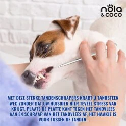 Nola & Coco® Tandsteen Verwijderaar Set Inclusief Bewaardoosje - Tandenkrabber - Set Van Twee - Hond - Kat - Tandenborstel - Tandplak Verwijderen - Tandenstoker - Honden Tanden Schoonmaken - Tandenhaakje - Gebitsreiniging 14 Nola & Coco® Tandsteen Verwijderaar Set Inclusief Bewaardoosje - Tandenkrabber - Set Van Twee - Hond - Kat - Tandenborstel - Tandplak Verwijderen - Tandenstoker - Honden Tanden Schoonmaken - Tandenhaakje - Gebitsreiniging -DierenPlezier 1200x1200 597