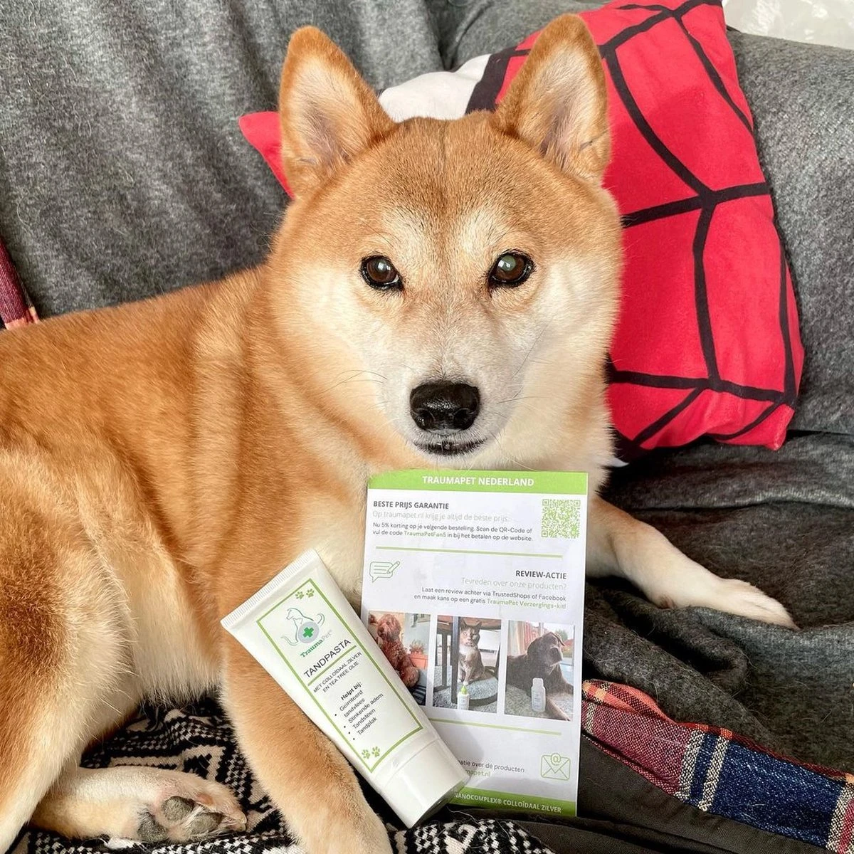 TraumaPet Tandpasta Met Colloïdaal Zilver Voor Dieren | Met Vleessmaak | Bij Stinkende Adem | Tandplak | Geïrriteerd Tandvlees | Tandsteen 4 TraumaPet Tandpasta Met Colloïdaal Zilver Voor Dieren | Met Vleessmaak | Bij Stinkende Adem | Tandplak | Geïrriteerd Tandvlees | Tandsteen - Afbeelding 2