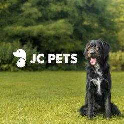 JC Pets Premium Pluizenborstel - Huisdierhaar Verwijderaar – Pluizenverwijderaar – Honden En Kattenhaar Verwijderaar - Ontpluizer - Pluizenroller -DierenPlezier 1200x1200 6
