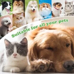 Merkloos Nobleza Dierenborstel - Hondenborstel - Kattenborstel - Tweezijdig - Dubbelzijdig - Hout - Maat L 16 Merkloos Nobleza Dierenborstel - Hondenborstel - Kattenborstel - Tweezijdig - Dubbelzijdig - Hout - Maat L -DierenPlezier 1200x1200 64