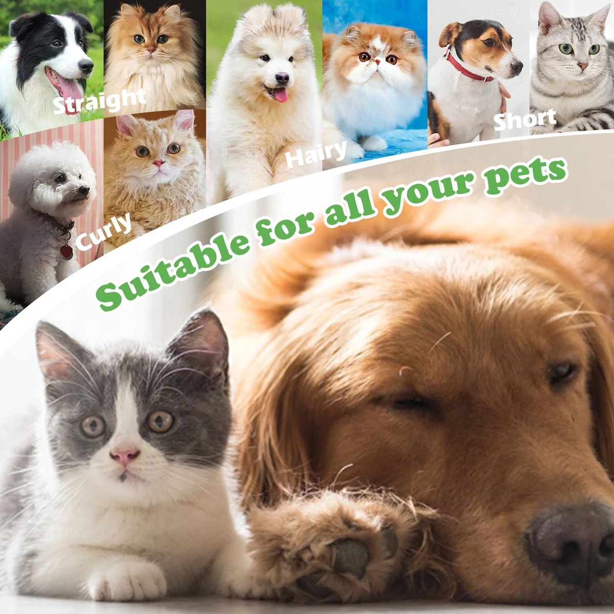 Merkloos Nobleza Dierenborstel - Hondenborstel - Kattenborstel - Tweezijdig - Dubbelzijdig - Hout - Maat L 7 Merkloos Nobleza Dierenborstel - Hondenborstel - Kattenborstel - Tweezijdig - Dubbelzijdig - Hout - Maat L - Afbeelding 5