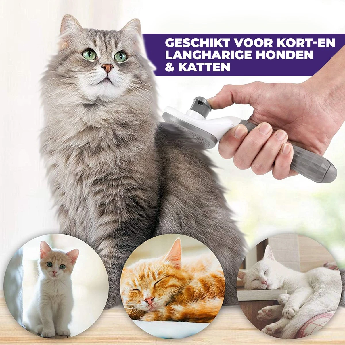 Kattenborstel - Hondenborstel - Pluizenverwijderaar - Haarverwijderaar Voor Huisdieren - Hondenkam - Kattenkam - Huisdierhaar Verwijderaar - Ontpluizer - Kattenhaar & Hondenhaar Verwijderaar - Voor Langharig & Kortharig - Grijs 6 Kattenborstel - Hondenborstel - Pluizenverwijderaar - Haarverwijderaar Voor Huisdieren - Hondenkam - Kattenkam - Huisdierhaar Verwijderaar - Ontpluizer - Kattenhaar & Hondenhaar Verwijderaar - Voor Langharig & Kortharig - Grijs - Afbeelding 4