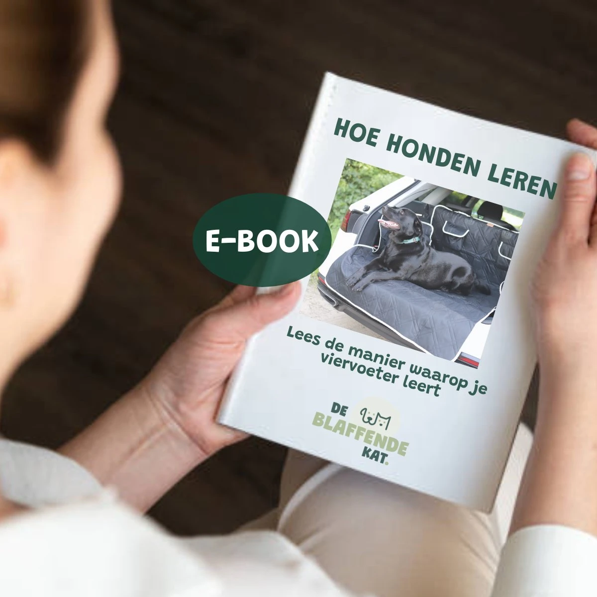 De Blaffende Kat Wasdrogerbollen - Droger Ballen - Huisdier Haarverwijderaar - 4 Wasbollen Voor Wasmachine En Droger 4 De Blaffende Kat Wasdrogerbollen - Droger Ballen - Huisdier Haarverwijderaar - 4 Wasbollen Voor Wasmachine En Droger - Afbeelding 3