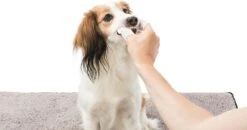 Trixie Verzorgingsvinger - 50 Stuks 8 Trixie Verzorgingsvinger - 50 Stuks -DierenPlezier 1200x630