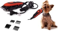 HTC Professionele Hondentondeuse - Haartrimmer Voor Honden En Katten - Krachtige Motor - Werkt Op 220V - Katten Tondeuses - Katten & Honden Trimset - Hondentrimmer - Dierentondeuse - Weinig Decibel- Met Opbergkoffer 12 HTC Professionele Hondentondeuse - Haartrimmer Voor Honden En Katten - Krachtige Motor - Werkt Op 220V - Katten Tondeuses - Katten & Honden Trimset - Hondentrimmer - Dierentondeuse - Weinig Decibel- Met Opbergkoffer -DierenPlezier 1200x640