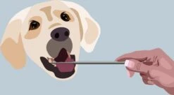 AE Dogz Tandsteenverwijderaar/Tandenkrabber 8 AE Dogz Tandsteenverwijderaar/Tandenkrabber -DierenPlezier 1200x663 1