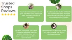 TraumaPet Tandpasta Met Colloïdaal Zilver Voor Dieren | Met Vleessmaak | Bij Stinkende Adem | Tandplak | Geïrriteerd Tandvlees | Tandsteen 7 TraumaPet Tandpasta Met Colloïdaal Zilver Voor Dieren | Met Vleessmaak | Bij Stinkende Adem | Tandplak | Geïrriteerd Tandvlees | Tandsteen -DierenPlezier 1200x666