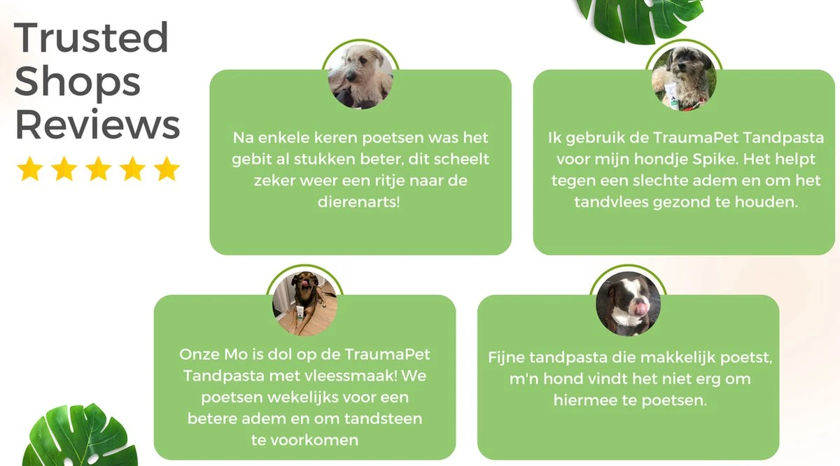 TraumaPet Tandpasta Met Colloïdaal Zilver Voor Dieren | Met Vleessmaak | Bij Stinkende Adem | Tandplak | Geïrriteerd Tandvlees | Tandsteen 5 TraumaPet Tandpasta Met Colloïdaal Zilver Voor Dieren | Met Vleessmaak | Bij Stinkende Adem | Tandplak | Geïrriteerd Tandvlees | Tandsteen - Afbeelding 3