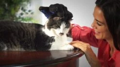 Vacht Verzorgingsborstel Voor Huisdieren - Blauw - LimitedDeals - Voor Honden Katten Konijnen Paarden - Tevens Massage Handschoen Voor Dieren! - Goed Voor De Verzorging Van De Vacht 18 Vacht Verzorgingsborstel Voor Huisdieren - Blauw - LimitedDeals - Voor Honden Katten Konijnen Paarden - Tevens Massage Handschoen Voor Dieren! - Goed Voor De Verzorging Van De Vacht -DierenPlezier 1200x674