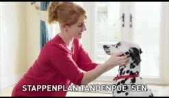 Beaphar Tandenborstel 12 Beaphar Tandenborstel -DierenPlezier 1200x697 2