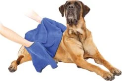 Dierenhanddoek Microvezel - Honden En Katten - Incl. Handvatten - 40x60 Cm - Blauw 8 Dierenhanddoek Microvezel - Honden En Katten - Incl. Handvatten - 40x60 Cm - Blauw -DierenPlezier 1200x799 2