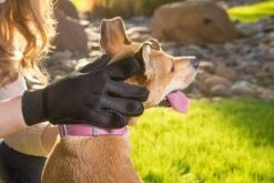 Merkloos Vachtverzorgingshandschoen 38 Merkloos Vachtverzorgingshandschoen -DierenPlezier 1200x800 1