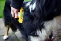 Furminator® Hond Langhaar - Vermindert Haaruitval Tot 90% - Hondenborstel - L -DierenPlezier 1200x800 2