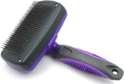 Buxibo Ondervacht Borstel Voor Hond En Kat - Kliksysteem Hondenborstel - Kattenkam - Hondenkam Voor Ondervacht - Klittenkam Voor Honden En Katten - Verwijderd Klitten 21 Buxibo Ondervacht Borstel Voor Hond En Kat - Kliksysteem Hondenborstel - Kattenkam - Hondenkam Voor Ondervacht - Klittenkam Voor Honden En Katten - Verwijderd Klitten -DierenPlezier 1200x809