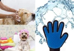Vacht Verzorgingsborstel Voor Huisdieren - Blauw - LimitedDeals - Voor Honden Katten Konijnen Paarden - Tevens Massage Handschoen Voor Dieren! - Goed Voor De Verzorging Van De Vacht 13 Vacht Verzorgingsborstel Voor Huisdieren - Blauw - LimitedDeals - Voor Honden Katten Konijnen Paarden - Tevens Massage Handschoen Voor Dieren! - Goed Voor De Verzorging Van De Vacht -DierenPlezier 1200x825