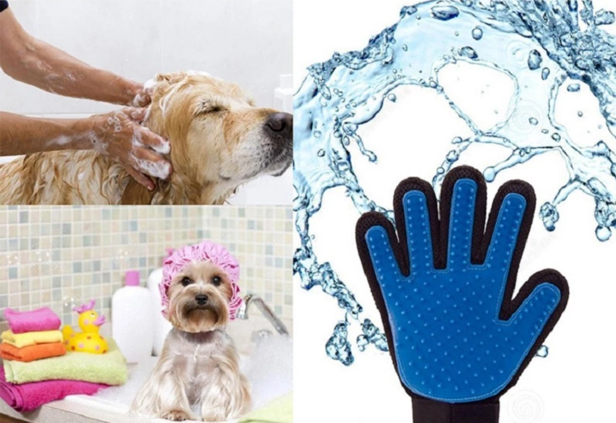 Vacht Verzorgingsborstel Voor Huisdieren - Blauw - LimitedDeals - Voor Honden Katten Konijnen Paarden - Tevens Massage Handschoen Voor Dieren! - Goed Voor De Verzorging Van De Vacht 5 Vacht Verzorgingsborstel Voor Huisdieren - Blauw - LimitedDeals - Voor Honden Katten Konijnen Paarden - Tevens Massage Handschoen Voor Dieren! - Goed Voor De Verzorging Van De Vacht - Afbeelding 3