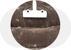 Merkloos Hoogwaardige - Huisdierhaar Verwijderaar - Hondenhaar - Pluizenborstel - Ontharingsborstel - Wit 17 Merkloos Hoogwaardige - Huisdierhaar Verwijderaar - Hondenhaar - Pluizenborstel - Ontharingsborstel - Wit -DierenPlezier 1200x847