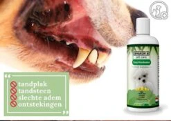 Easy Mondwater Voor Honden - 237 Ml - Tegen Stinkende Adem - Tandplak - Tandsteen - Tandvleesproblemen 16 Easy Mondwater Voor Honden - 237 Ml - Tegen Stinkende Adem - Tandplak - Tandsteen - Tandvleesproblemen -DierenPlezier 1200x852 3