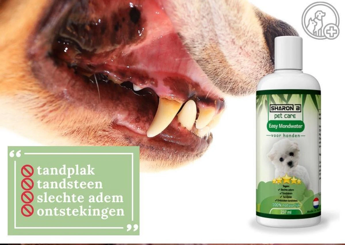 Easy Mondwater Voor Honden - 237 Ml - Tegen Stinkende Adem - Tandplak - Tandsteen - Tandvleesproblemen 9 Easy Mondwater Voor Honden - 237 Ml - Tegen Stinkende Adem - Tandplak - Tandsteen - Tandvleesproblemen - Afbeelding 7