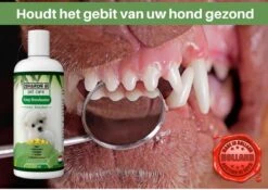 Easy Mondwater Voor Honden - 237 Ml - Tegen Stinkende Adem - Tandplak - Tandsteen - Tandvleesproblemen 17 Easy Mondwater Voor Honden - 237 Ml - Tegen Stinkende Adem - Tandplak - Tandsteen - Tandvleesproblemen -DierenPlezier 1200x852 4