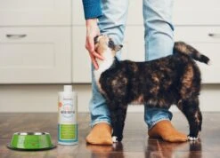 OxyFresh Pet Mondwater Hond En Kat. Helpt Tegen Tandsteen, Plak En Vieze Ademgeurtjes -DierenPlezier 1200x864 1