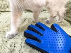 Vacht Verzorgingsborstel Voor Huisdieren - Blauw - LimitedDeals - Voor Honden Katten Konijnen Paarden - Tevens Massage Handschoen Voor Dieren! - Goed Voor De Verzorging Van De Vacht 19 Vacht Verzorgingsborstel Voor Huisdieren - Blauw - LimitedDeals - Voor Honden Katten Konijnen Paarden - Tevens Massage Handschoen Voor Dieren! - Goed Voor De Verzorging Van De Vacht -DierenPlezier 1200x897