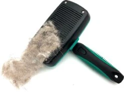 ElegaPet Hondenborstel Groen - Hondenhaar Verwijderen - Kat En Hondenkam - Slickerborstel Hond En Kat - Groomer - Ondervacht Kam Hond - Borstel Hond - Hondenborstel Langharig En Kortharig - Slickerborstel - Anti Klit/Knopen/Huidschilfers 14 ElegaPet Hondenborstel Groen - Hondenhaar Verwijderen - Kat En Hondenkam - Slickerborstel Hond En Kat - Groomer - Ondervacht Kam Hond - Borstel Hond - Hondenborstel Langharig En Kortharig - Slickerborstel - Anti Klit/Knopen/Huidschilfers -DierenPlezier 1200x902