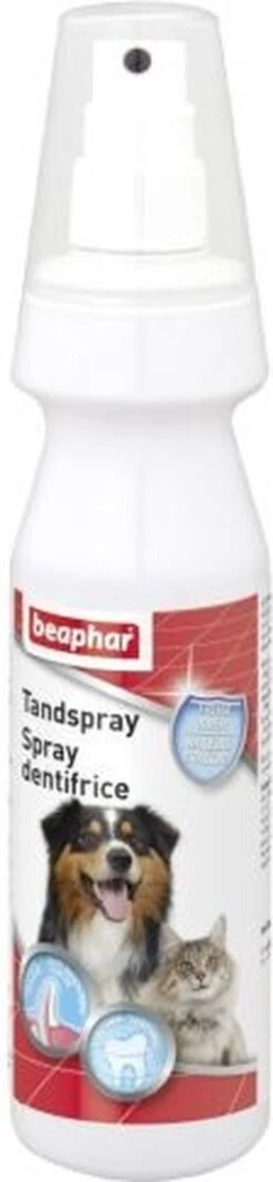 Beaphar Tandspray 150 Ml 13 Beaphar Tandspray 150 Ml -DierenPlezier 278x1200 1