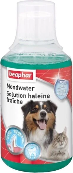 Beaphar Mondwater - 250 Ml 11 Beaphar Mondwater - 250 Ml -DierenPlezier 509x1200