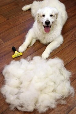 Furminator® Hond Langhaar - Vermindert Haaruitval Tot 90% - Hondenborstel - L -DierenPlezier 800x1200 3
