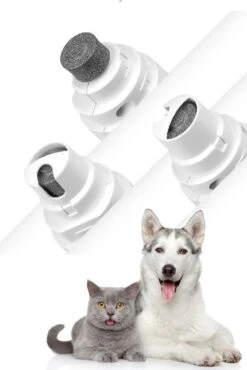Elektrische NagelVijl / Nagelknipper Kat / Nagelknipper Hond / Nageltrimmer / Draadloos / Diamante Vijlkop / Honden/Katten/Knaagdieren 9 Elektrische NagelVijl / Nagelknipper Kat / Nagelknipper Hond / Nageltrimmer / Draadloos / Diamante Vijlkop / Honden/Katten/Knaagdieren -DierenPlezier 802x1200