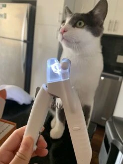 SunnyPets - Professionele Dieren Nagelknipper - Wit - Met LED En Vijl - Hond - Kat - Geschikt Voor Alle - Nageltang 13 SunnyPets - Professionele Dieren Nagelknipper - Wit - Met LED En Vijl - Hond - Kat - Geschikt Voor Alle - Nageltang -DierenPlezier 899x1200 4