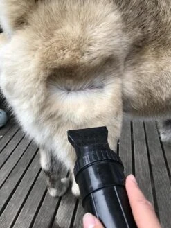 Waterblazer Hond - Hondendroger 14 Waterblazer Hond - Hondendroger -DierenPlezier 900x1200 4