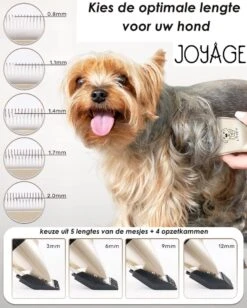 Joyage Professionele Hondentondeuse Voor Dikke Vacht – Honden Tondeuse & Hondentrimmer Tondeuse – Stille Tondeuse Katten & Honden Trimset Lang Haar – Trimmer Hond - Hondentondeuse Draadloos - Tondeuse Voor Honden - Tondeuse Hond Dikke Vacht 11 Joyage Professionele Hondentondeuse Voor Dikke Vacht – Honden Tondeuse & Hondentrimmer Tondeuse – Stille Tondeuse Katten & Honden Trimset Lang Haar – Trimmer Hond - Hondentondeuse Draadloos - Tondeuse Voor Honden - Tondeuse Hond Dikke Vacht -DierenPlezier 962x1200 2