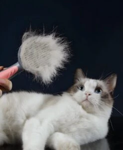 Pakeway T9 - Kattenborstel - Zelfreinigende Kattenkam - Roze - Massageborstel - 19,3 Cm 22 Pakeway T9 - Kattenborstel - Zelfreinigende Kattenkam - Roze - Massageborstel - 19,3 Cm -DierenPlezier 983x1200 1