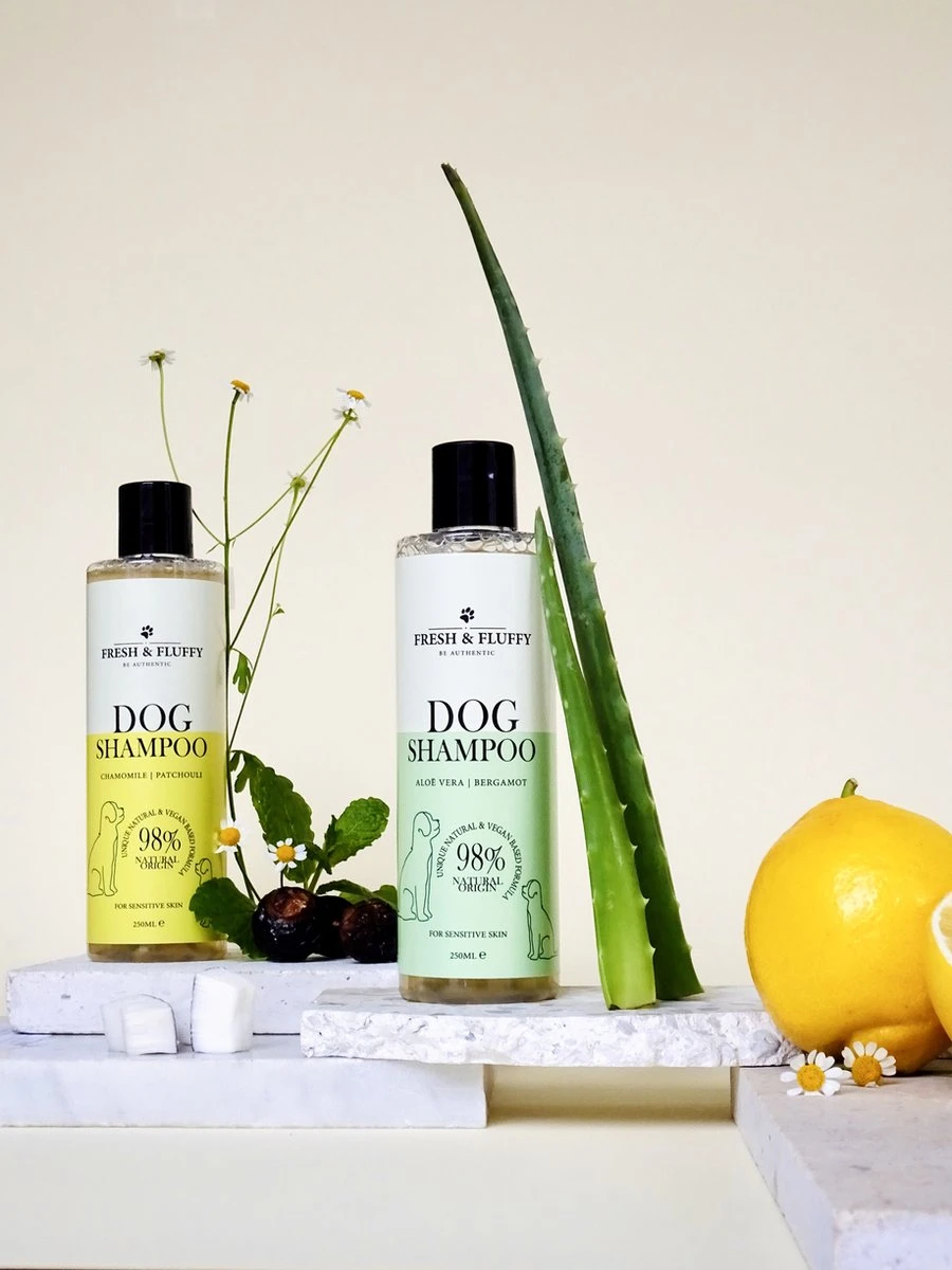 DierenPlezier 35 DierenPlezier -DierenPlezier 900x1200 3